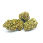 Gewächshaus CBD Blüte SLH