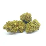Gewächshaus CBD Blüte SLH