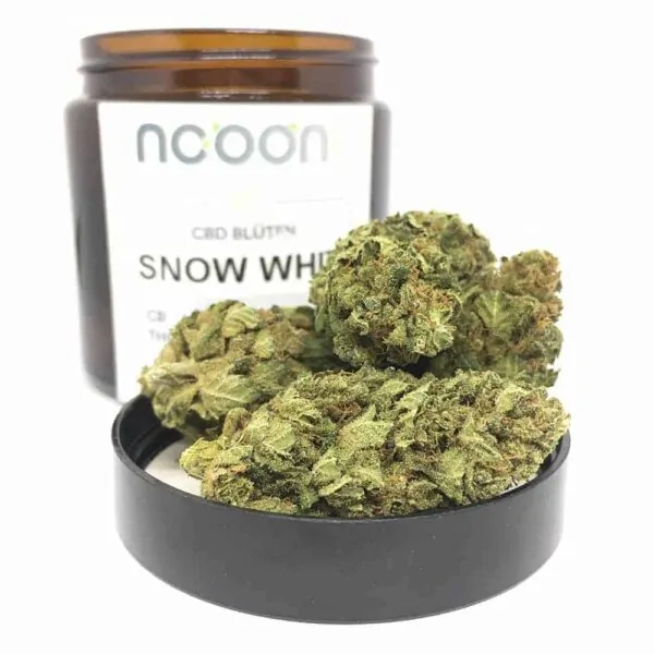 CBD Blüte Snow White