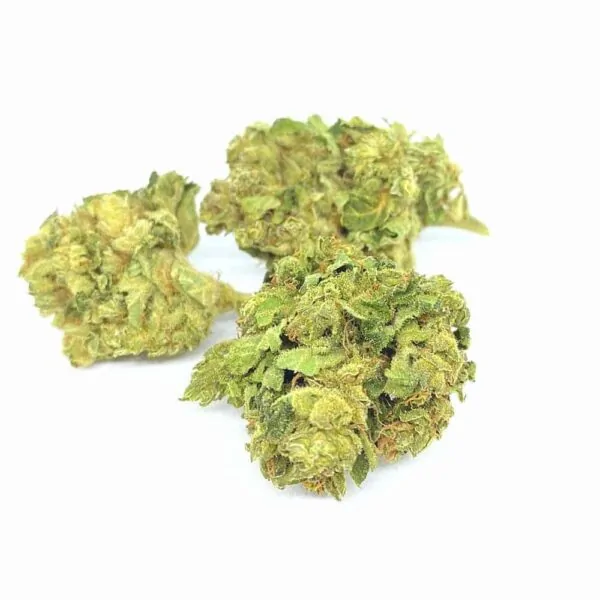 CBD Blüte Forrest Kush