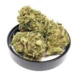 CBD Blüte ORANGE BUD