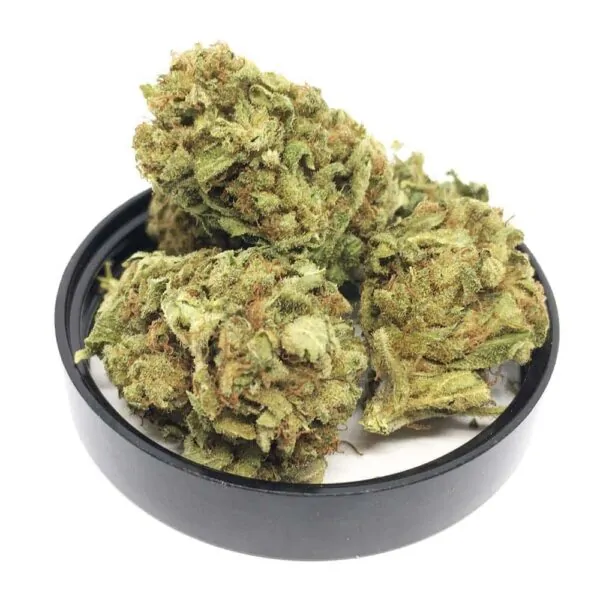 CBD Blüte ORANGE BUD