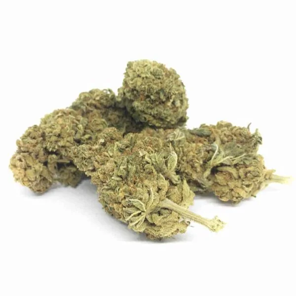 Sour Diesel CBD Günstig
