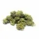 CBD Günstig Jack Herer
