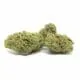 Cheese Royal Cannabis