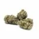 Purple Diesel Kush
