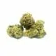 Cali Weed RUNTZ
