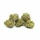 CBD Blüte Alien Breath