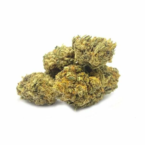 H4CBD Blüte White Widow