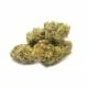 H4CBD Blüte White Widow