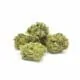 NEU: Euforia CBD Blüten