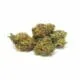 Moby Dick 45% CBD