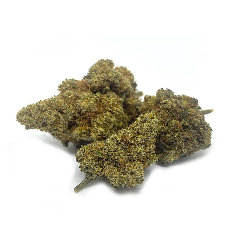 H4CBD Blüte Gelato Punch