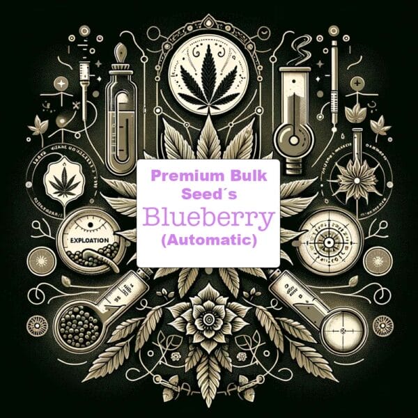Blueberry premium Bulk Seeds - CBD Blüten kaufen