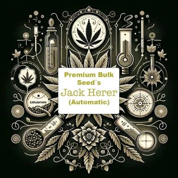 Jack Herer feminisiert, autoflowering THC Samen Bulk