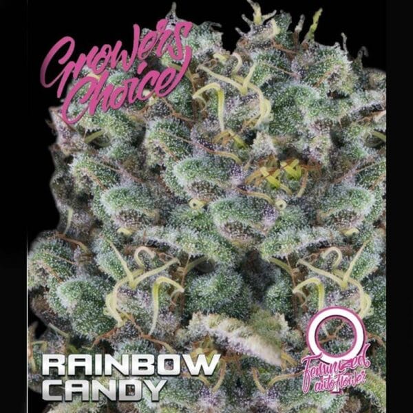 Cannabis Seeds Rainbow Candy