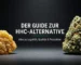 10 OH HHC Blüten und Hasch