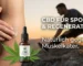 CBD & Sport. Hilft CBD bei Muskelkater bzw. bei der Regeneration.