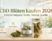 CBD Blüten kaufen im Jahr 2026 in Deutschland. Worauf kommt es an, was ist wichtig, wir klären auf.